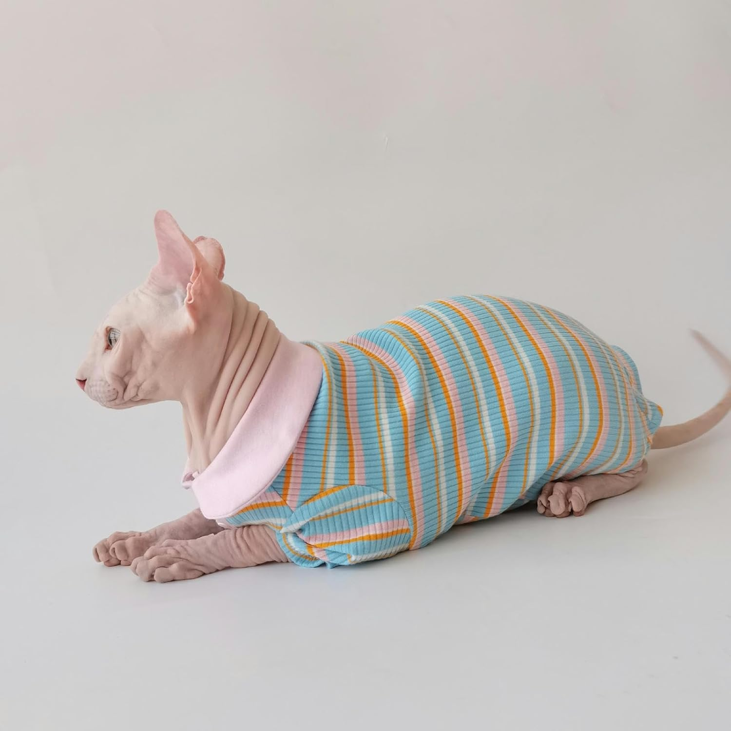IUOUTG Summer Sphynx Cat Shirt Soft Cotton Hairless Cat Clothes Color Stripes Kitten T-Shirt Short Sleeves Pullover Cat Pajamas Cat Daily Wear Clothes for Devon Cats Apparel image number 5
