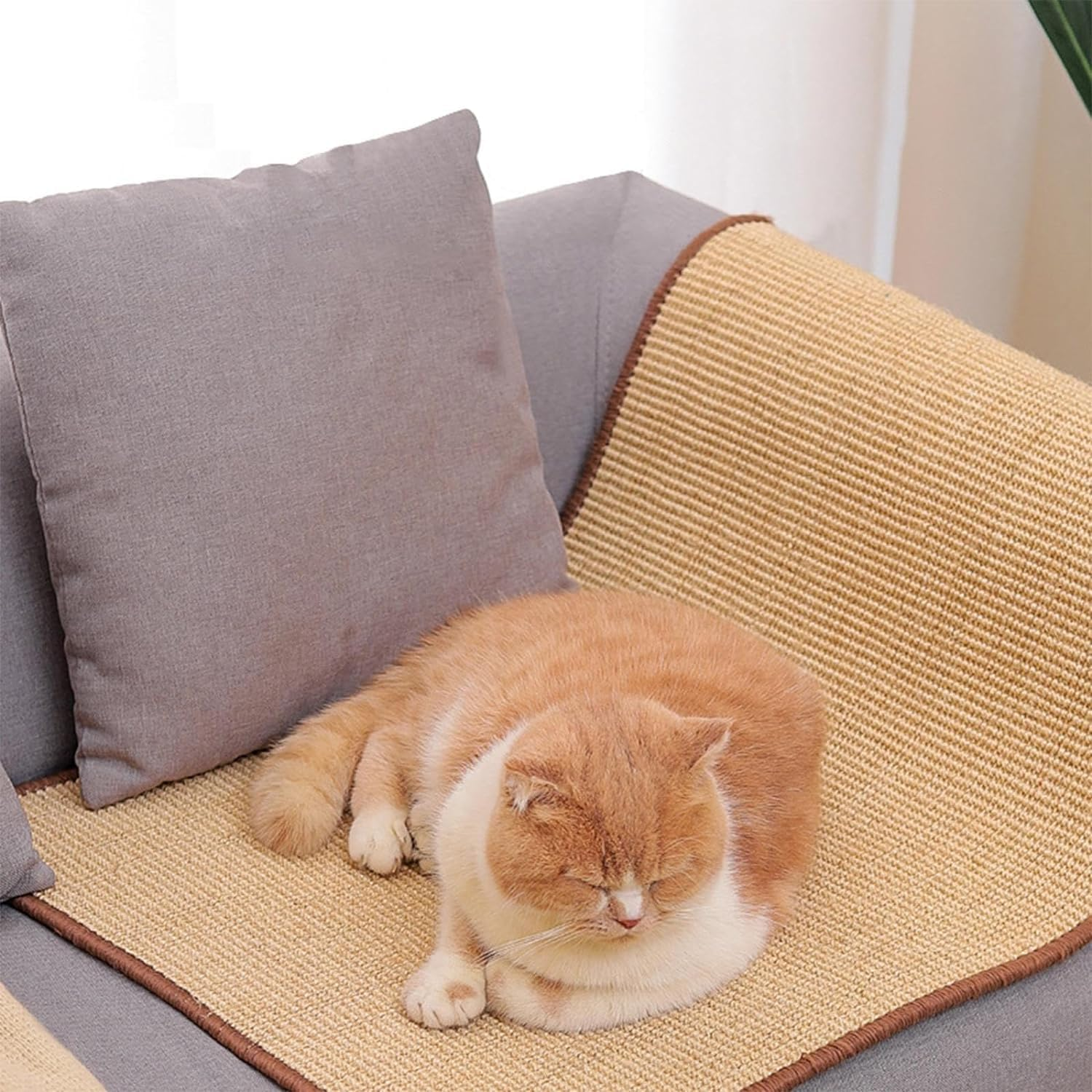 Cat Scratchers for Indoor Cats | Scratcher Mat Board Floor Scratching Pad,Thick Rug Scratch Pad, Scratch Resistant Cat Scratcher Mat for Lounge Bed Sofa Furniture Protection Borato image number 5