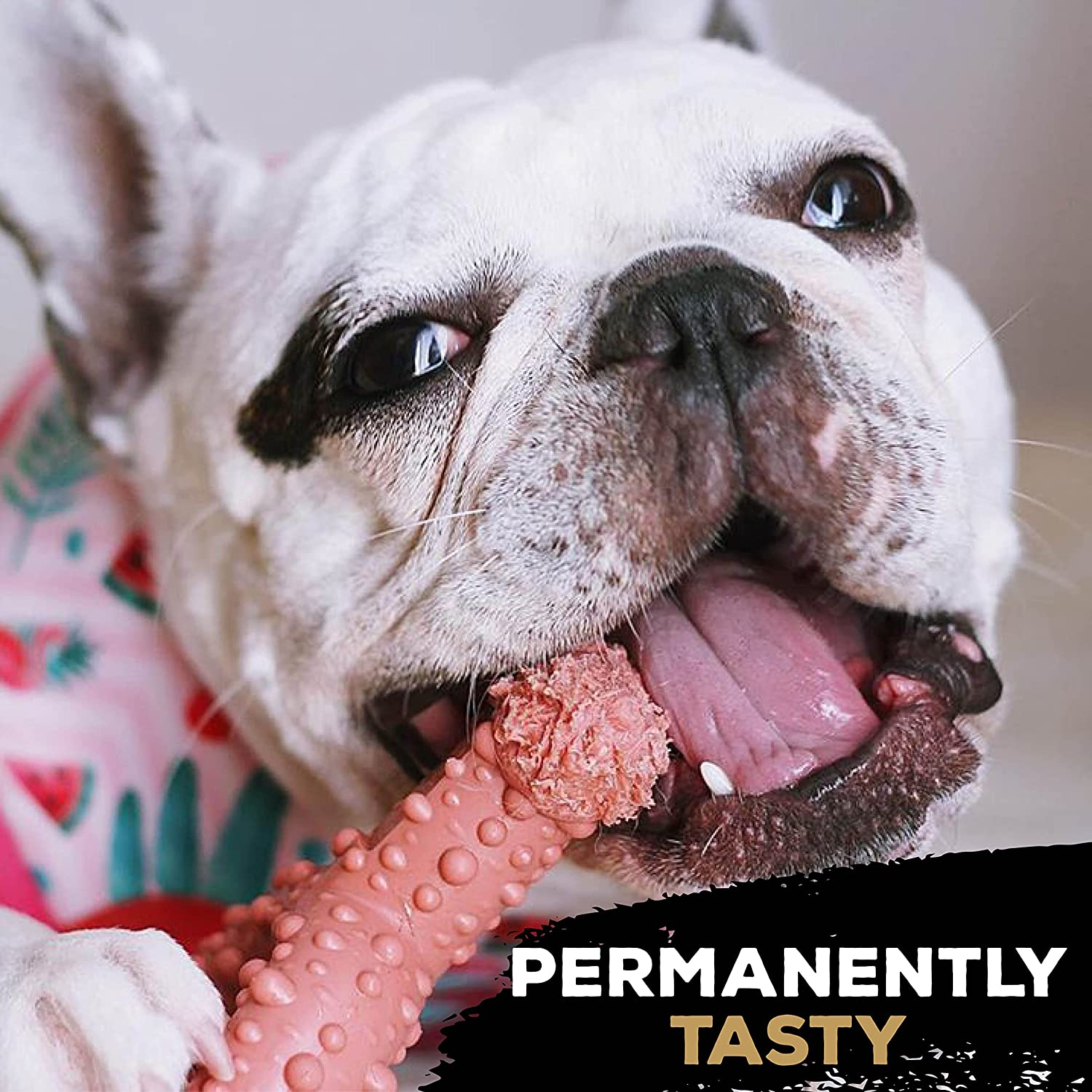 Tasty Bone Nylon Peanut Butter Trio Chew Dog Toy Extra Small image number 4