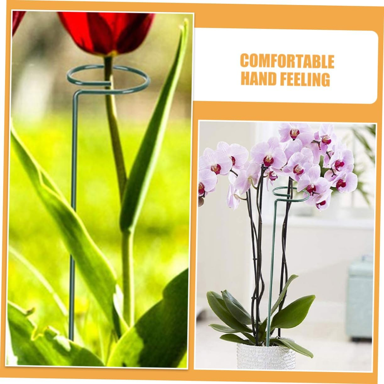 CAXUSD 12Pcs Plant Climbing Support Frame Garden Stakes for Gardening Climbing Plant Trellis Netting Stainless Steel Supports image number 3