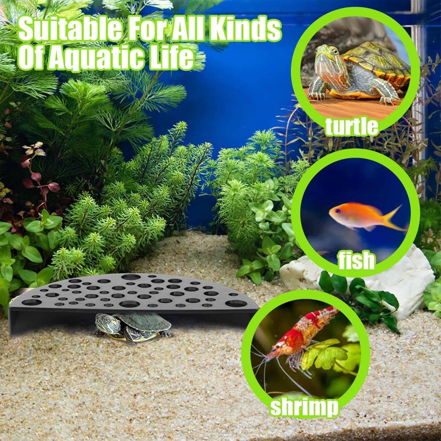 2 Pack Aqua Safe Shrimp Caves - 100% Safe Molting Hideouts for Shrimps & Nano Fish,Black Aquarium Breeding Caves for Shrimps Aquarium Fish Tank Decoration image number 6