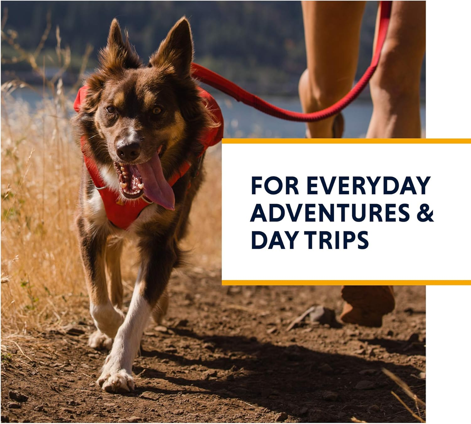 RUFFWEAR Switchbak Dog Harness with Pockets, All-Day Comfort with Built-In Pockets for Short Day Trips and Everyday Activities, Medium Dog Breeds, Granite Grey image number 3