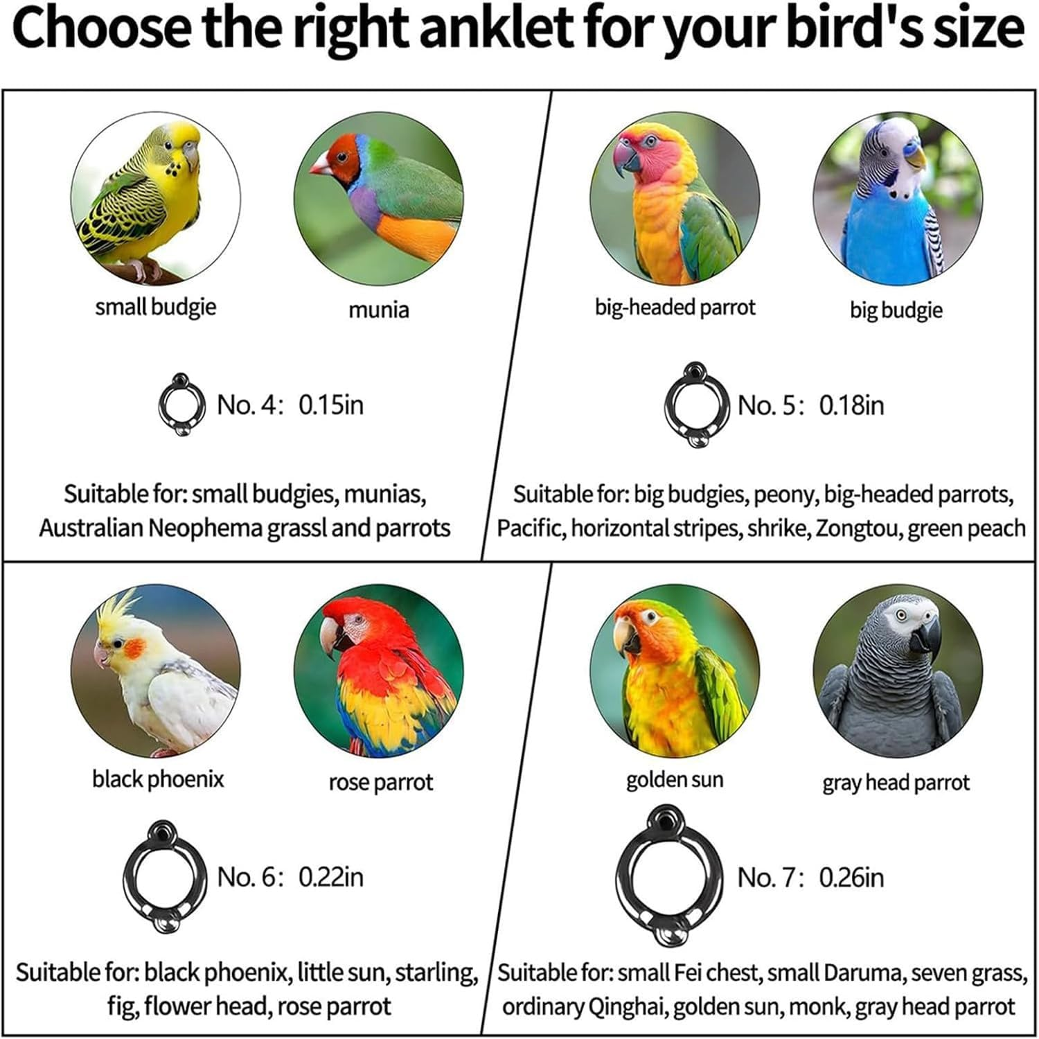 Liahelianx Parrot Foot Rope - Metal Auto-Retractable Parrot Leg Chain for Flying Training | Chewable Bird Ankle Accessories for Conures Lovebird Finches Cockatiels Macaws Parakeet