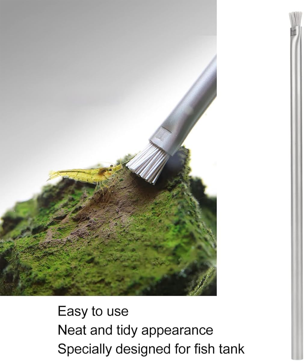 AIMALL Landscape Stone Cleaning Brush &ndash; Dual-Sided Algae Brush for Water and Grass, Style Cleaning Tool for Stones and Wood, Stainless Steel