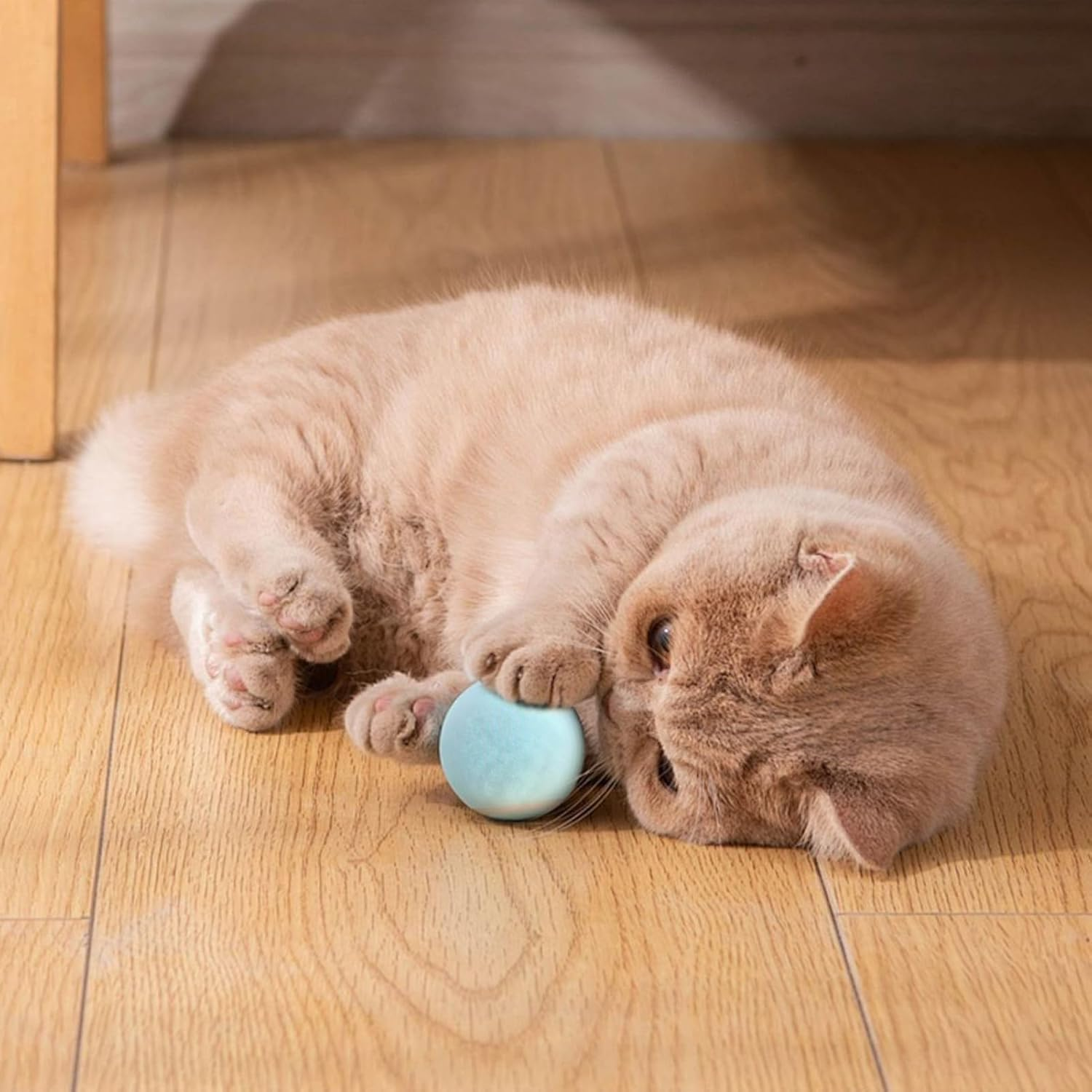 CDRPD Pack of 20 Cat Balls, 3 Cm, Plush Ball, Play Ball, Training Toy, Felt Balls for Cats, Colourful image number 5