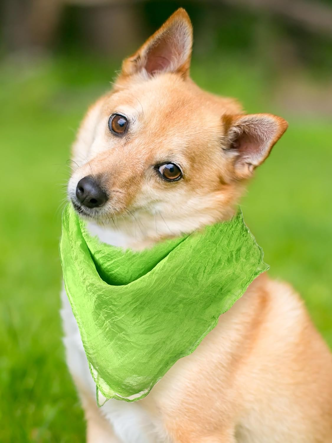 Boao 12 Pcs Chiffon Scarf 50S Sheer Square Retro Neck Head Chiffon Scarf for Women Girls image number 4