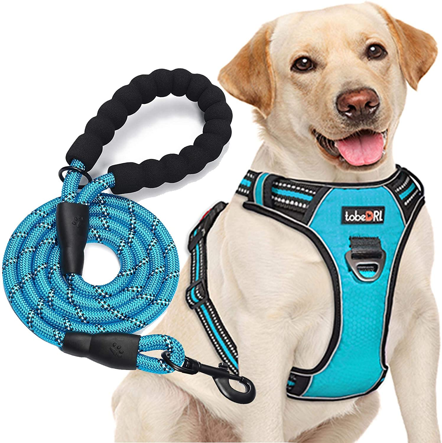 No Pull Dog Harness Adjustable Reflective Oxford Easy Control Medium Large Dog Harness with a Free Heavy Duty 5Ft Dog Leash (L (Neck: 18"-25.5", Chest: 24.5"-33"), Blue Harness+Leash) image number 3