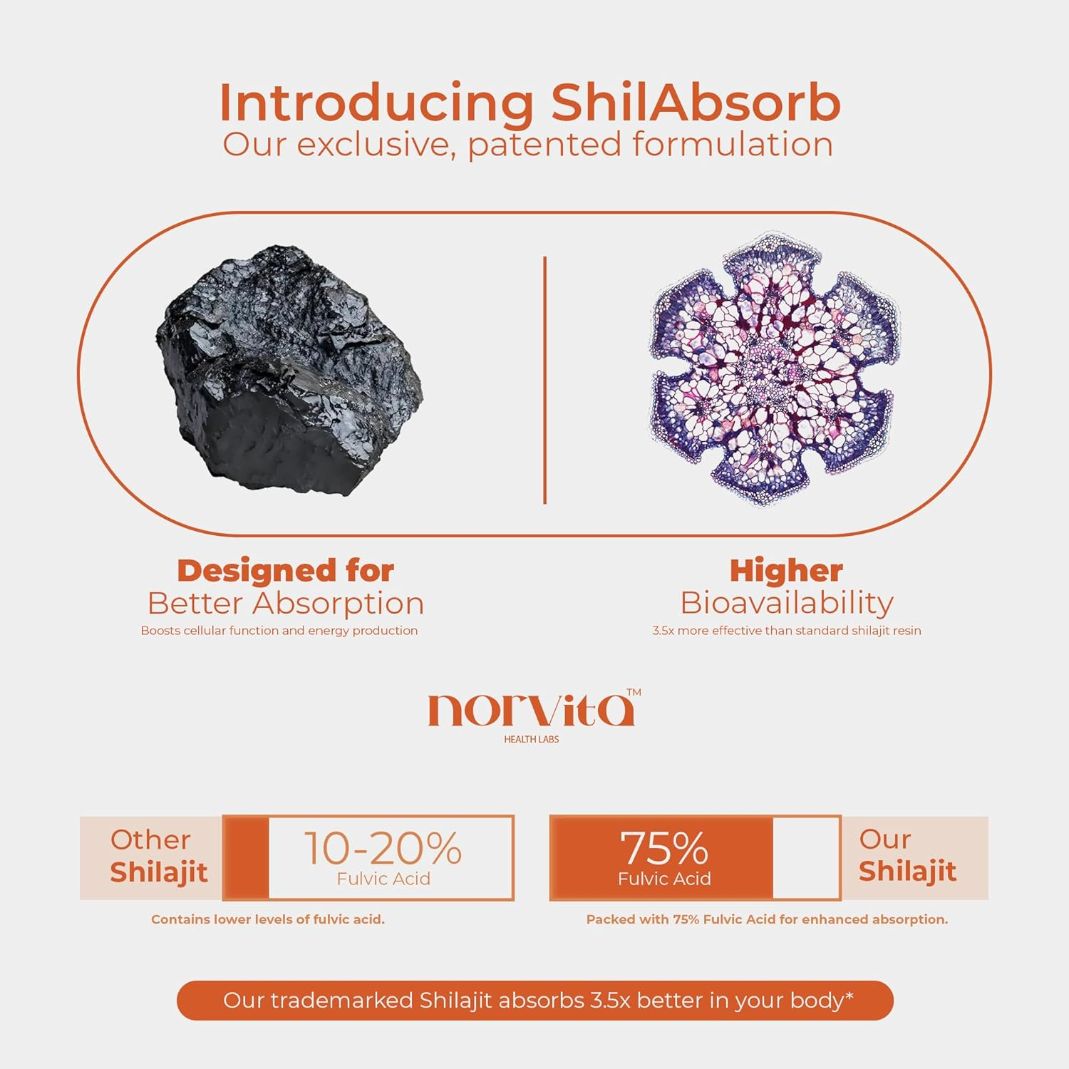 Norvita Pure Himalayan Shilajit Gummies Men & Women with Ashwagandha| Manuka Honey| Sea Moss| Black Seed Oil| Fulvic Acid & 85+ Trace Mineralsi Prenatal Vitamins