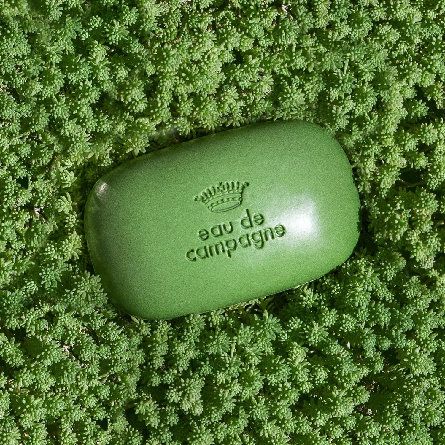 Sisley Eau De Campagne Women'S Soap 100 G Pack of 1 X 0.1 Kg image number 2