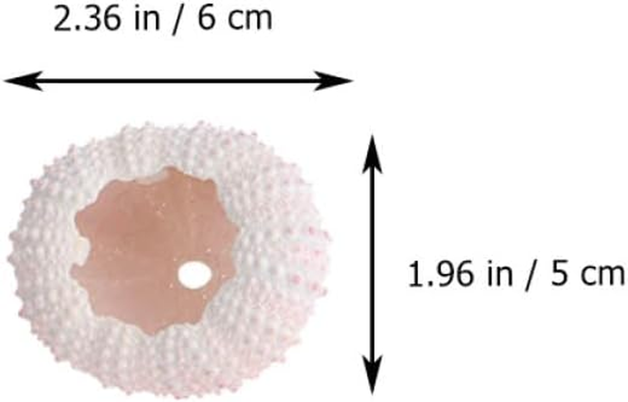 Cabilock 10Pcs Natural Sea Urchin Shell Air Plant Urchin Holder Miniature Gardening Decorations for Boys and Girls Party Supplies image number 4