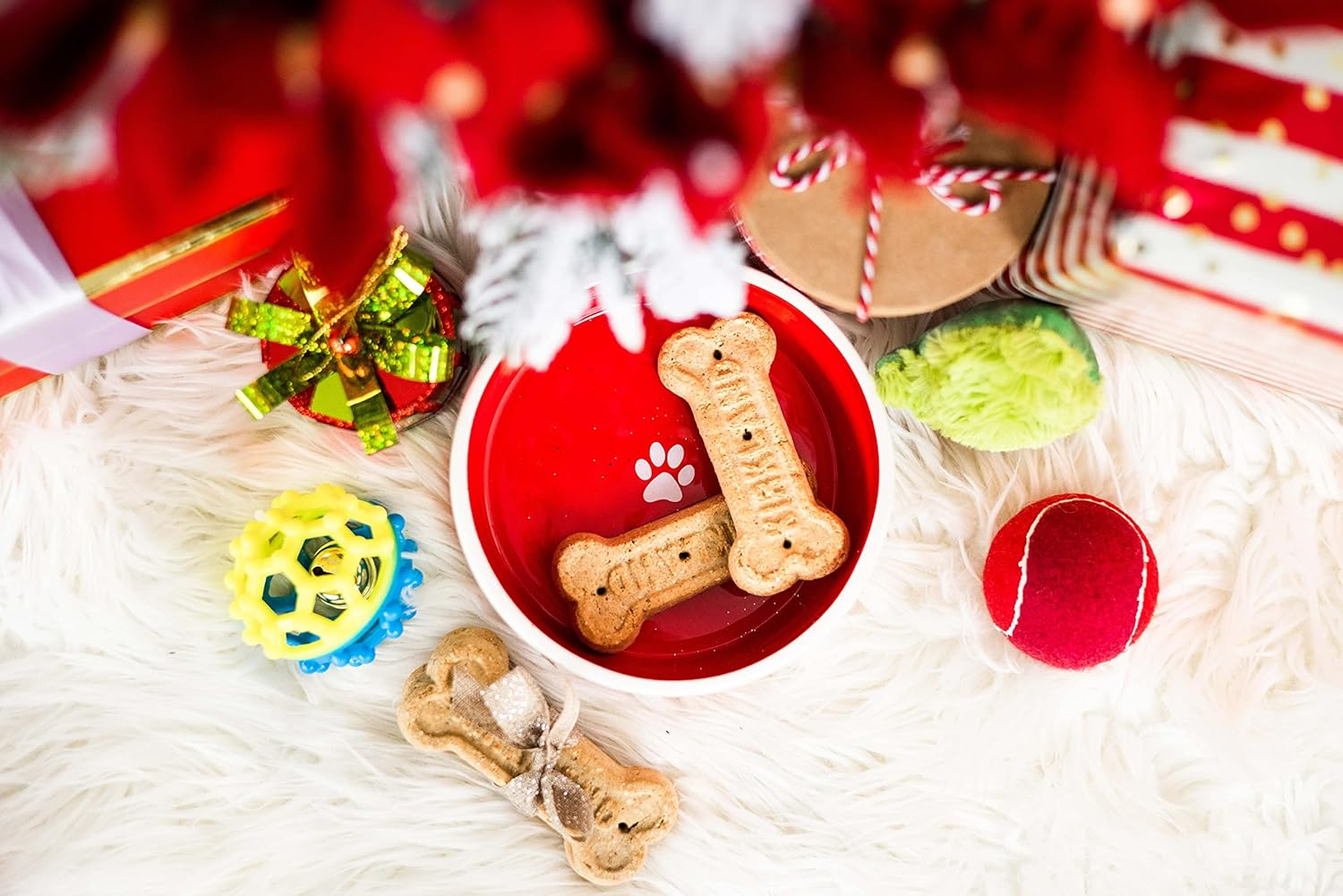 Pearhead Paw Humbug Pet Bowl, Dog Water and Food Dish, Christmas Holiday Dog Pet Bowl, Medium image number 4