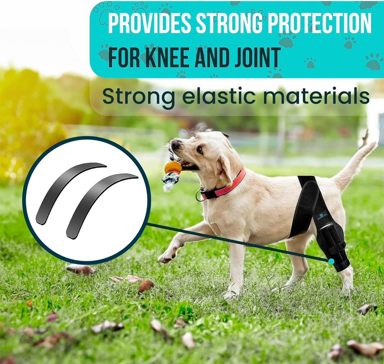 Dog Leg Braces for Back Leg - Dog Knee Brace for Support with Cruciate Ligament Injury, Joint Pain and Muscle Sore,- Dog Knee Brace for Torn ACL Hind Leg Adjustable Rear Leg Braces (Small) image number 6