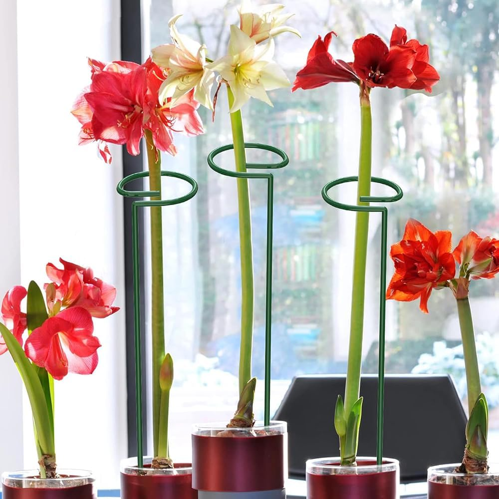 20 Pack 13.8 Inch Green Metal Single Stem Flower Garden Plant Support with 40Pcs Plants Clips, Plant Cage Support Ring for Amaryllis Orchid Peony Rose Tomato image number 2