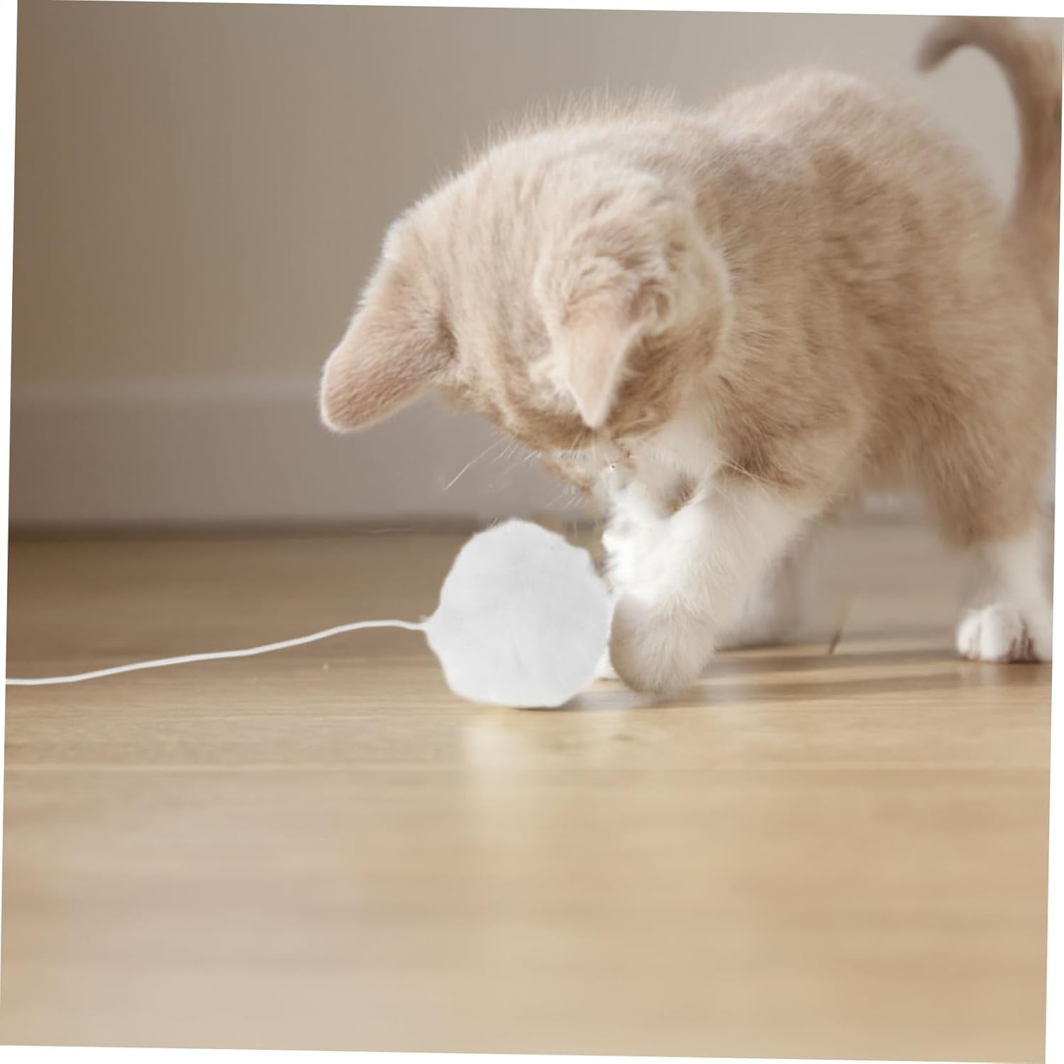 INOOMP 6Pcs Interactive Cat Toy Balls Plush Pom Pom with Elastic Rope for Indoor Cats Kitten Training and Scratching Pet Supply image number 4