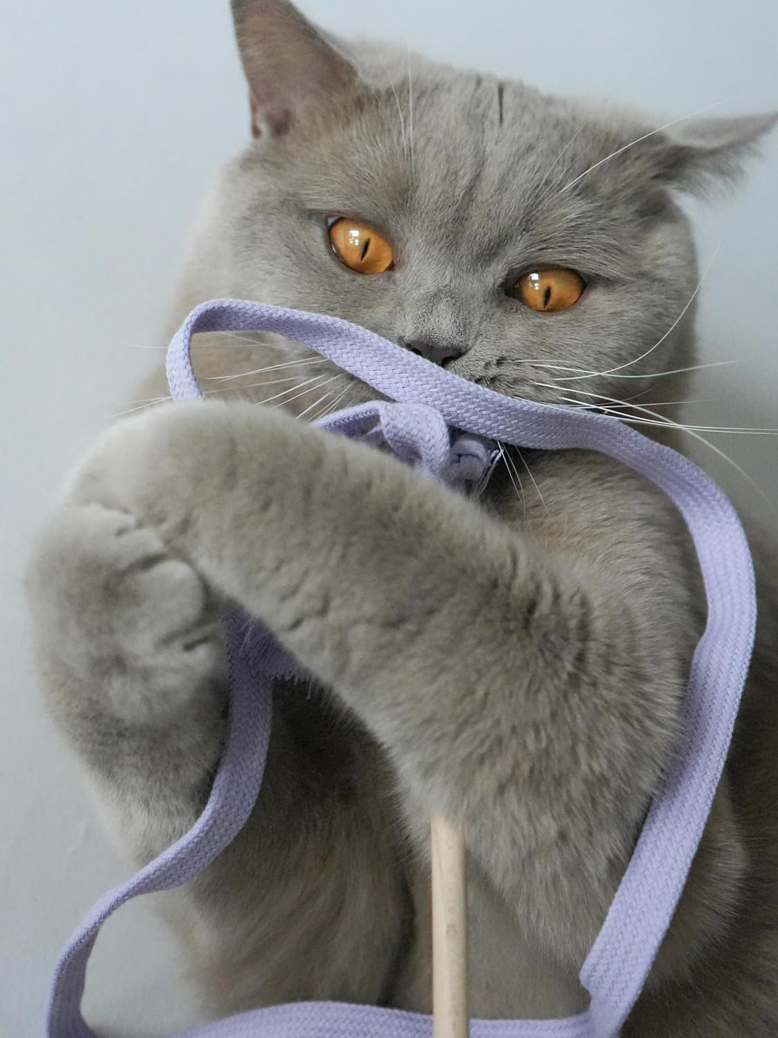 The RANGELANGEL: Our Cat Fishing Rod with Beech Wood Rod and Lilac Cotton Ribbon. Handmade and Lovingly Made in Germany Sustainable Cat Toy