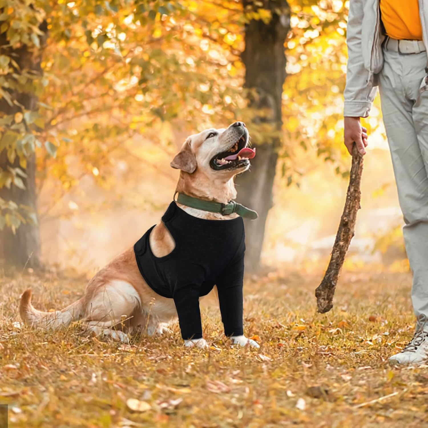 Yoolhamy Dog Leg Recovery Sleeve, Dog Front Leg Elbow Protector, Dog Recovery Suit after Surgical Wound Protector to Prevent Licking Bite Cone Collars Alternative (Black, 2XL) image number 1