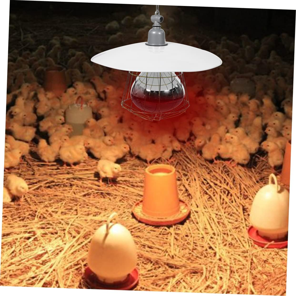 BESPORTBLE 250W Heat Light Lamp for Chicks Livestock Heating Tool Safe Warming Lamp Kit image number 2