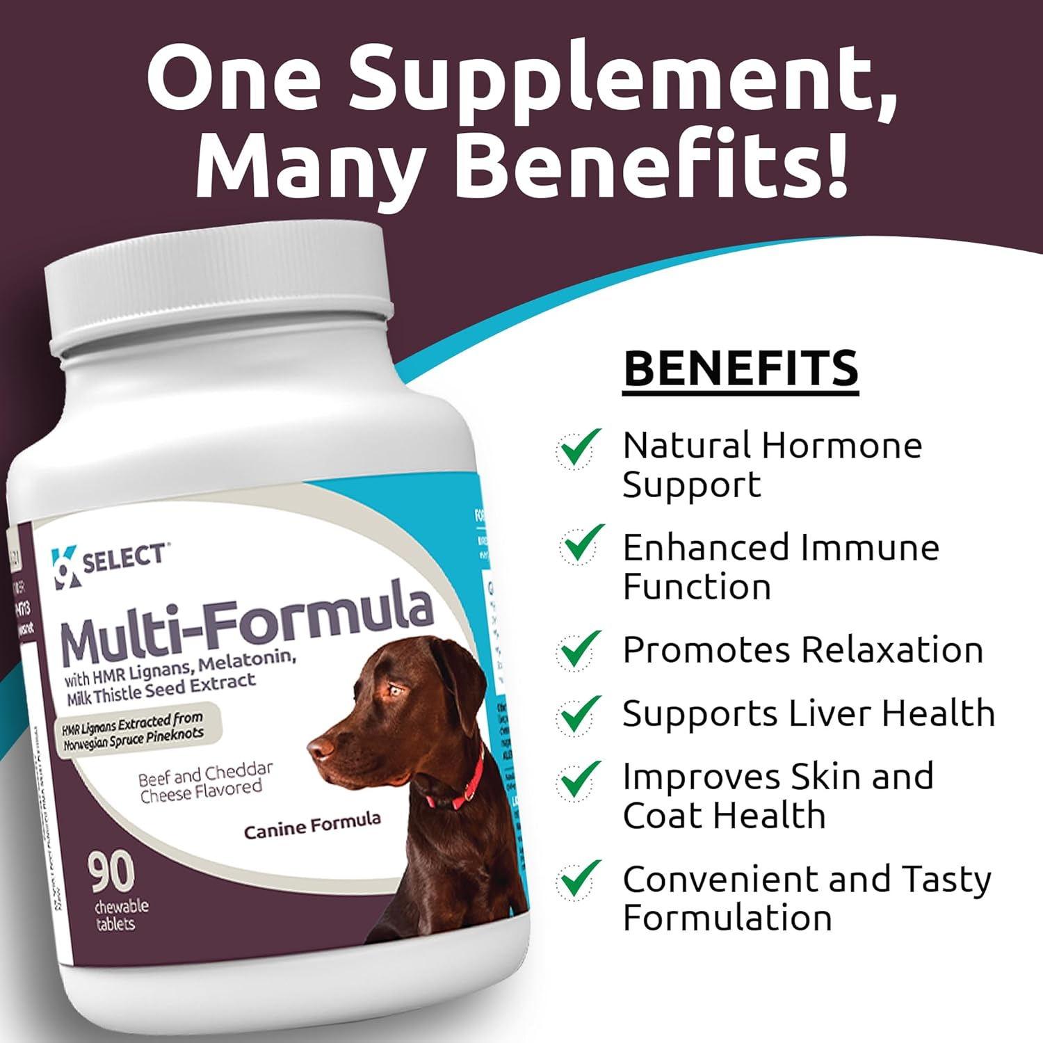 K9 Select Multi-Formula Dog Vitamins for Large Dogs - 30Mg HMR Lignans, 3Mg Melatonin, 60Mg Milk Thistle - Helps Heart, Liver, Digestion, Skin & Coat Health, Dog Multivitamin, 90 Tablets, Beef Flavor image number 2