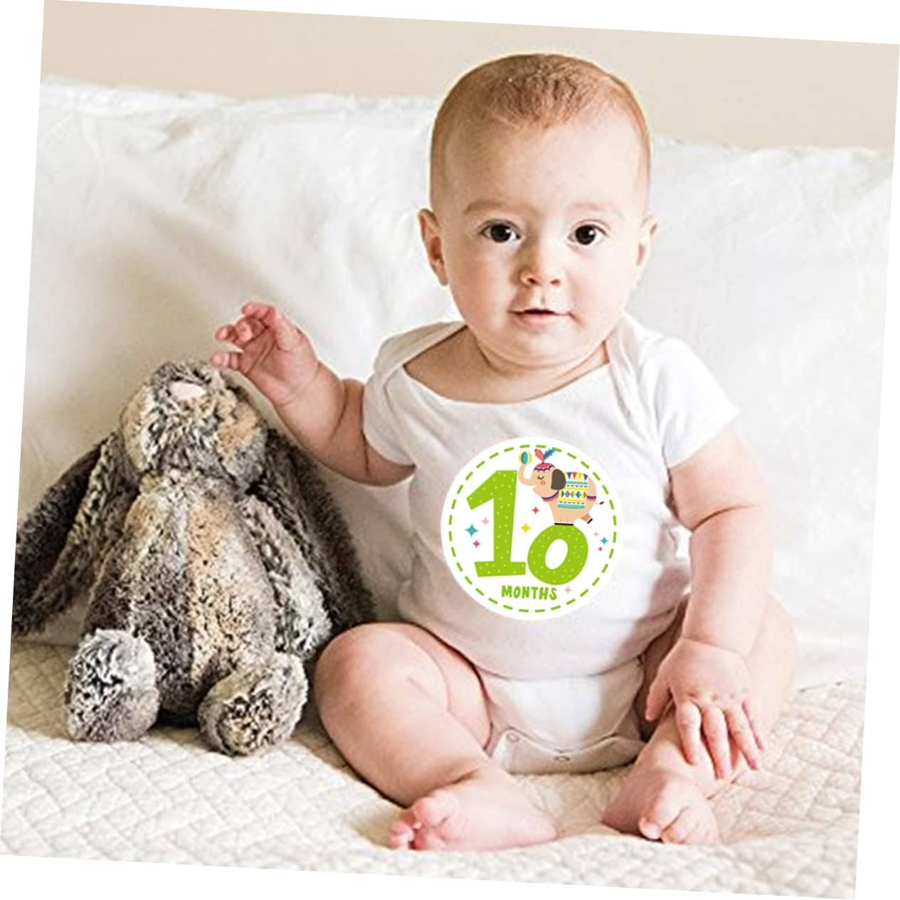 TEHAUX 24Pcs Milestone Sticker Set Adorable Animal Month Stickers for Newborns Creative Milestone Announcement Cards Reusable Design for Monthly Photo Album and Social Media Sharing image number 2