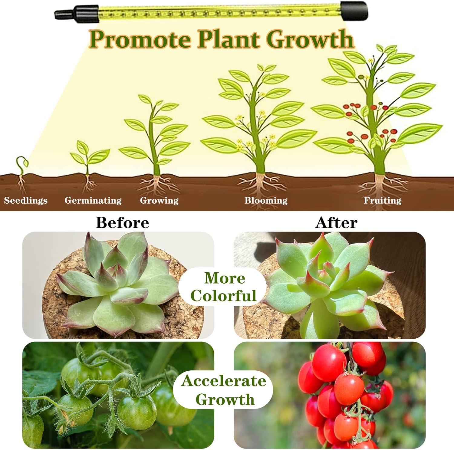 Grow Light for Indoor Plants, Clip-On Full Spectrum LED Grow Lights, Adjustable Gooseneck with 3/9/12H Timer & 10 Dimmable Modes, 3 Tubes image number 3