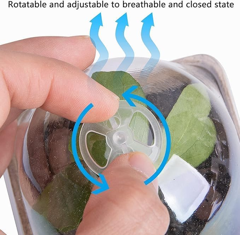 QYINXIU 20 Pcs Biodegradable Nursery Pots, Seeding Starter Pots for Planting, Peat Pots for Seedlings, Garden Vegetable Flower Germination image number 2