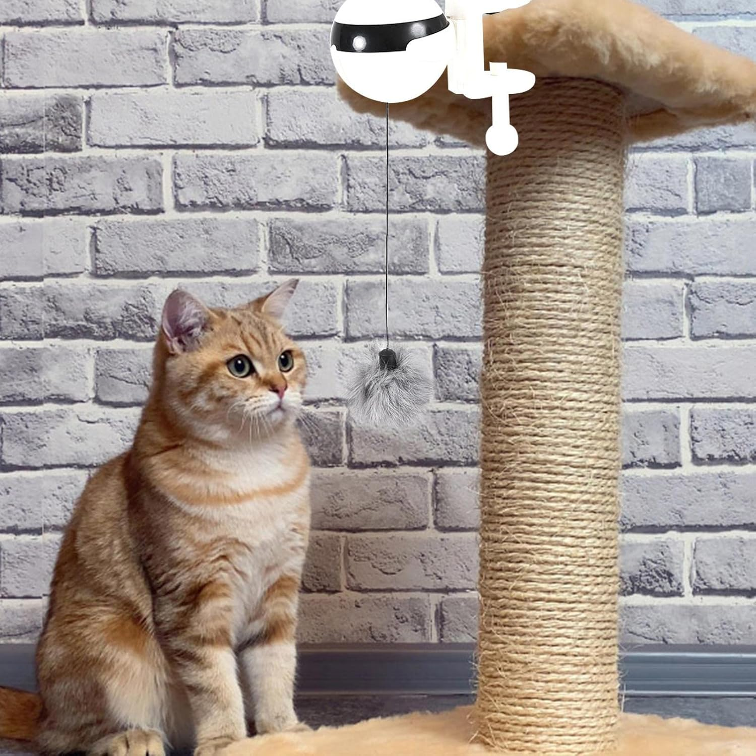 Cat Ball Toy, Battery-Powered Cat Toy, Interactive Cat Toy, Training Toys for Cats, Motorized Cat Ball, Clip-On Cat Toy, Fun Cat Toys, Stimulating Cat Play, Enriching Pet Toys, Cat Exercise Toy/89 image number 6