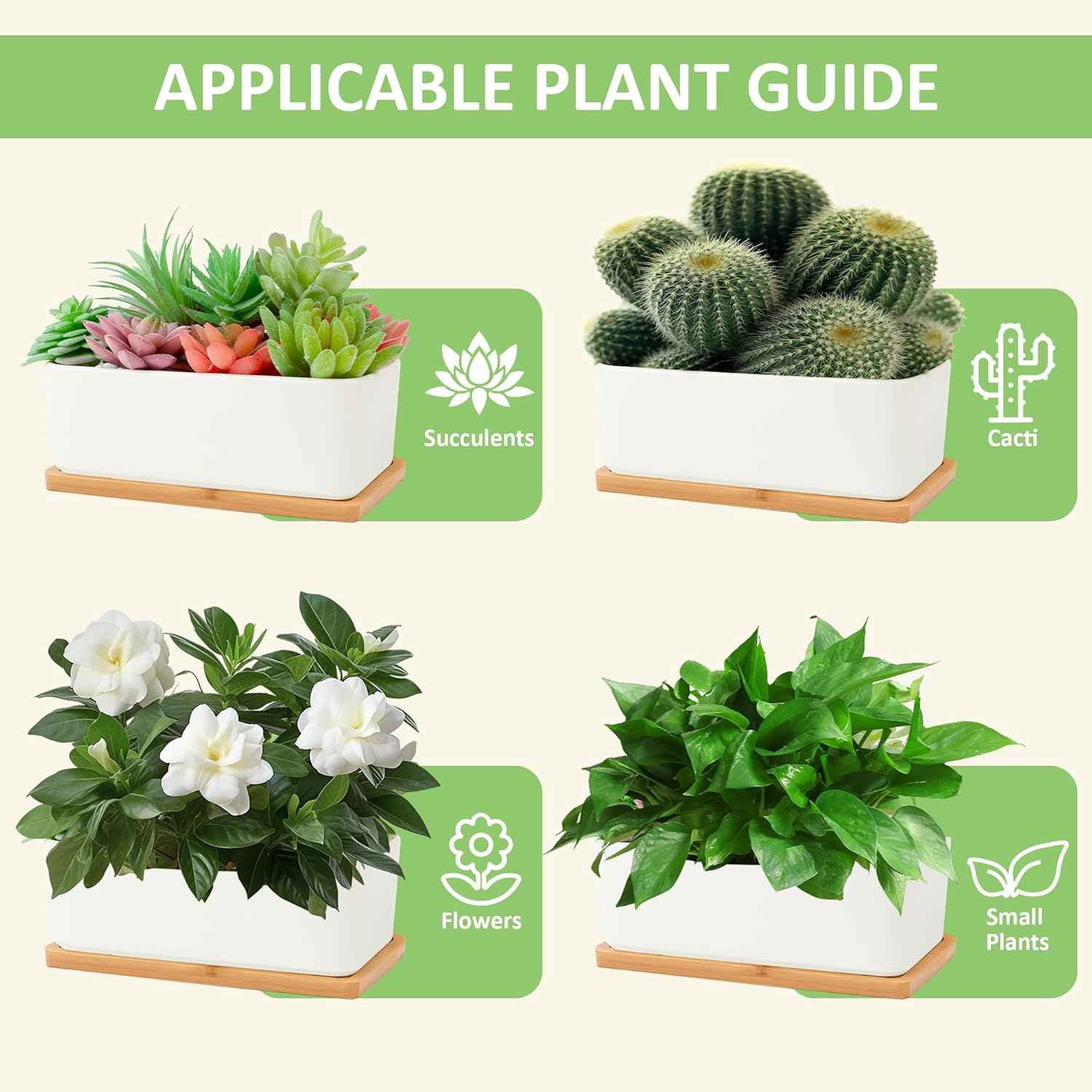 2 PCS Succulent Pot Cactus Containers White Ceramic Planter with Drainage Hole and Removable Tray Small Plant Pots for Home Office Decor Bonsai Container for Indoor Outdoor Plants (Rectangle) image number 2