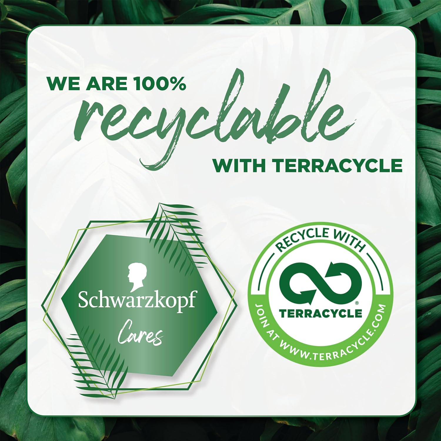 Schwarzkopf Extra Care Colour Perfector Protecting Express Repair Conditioner,Coloured Hair Spray, 200Ml image number 4