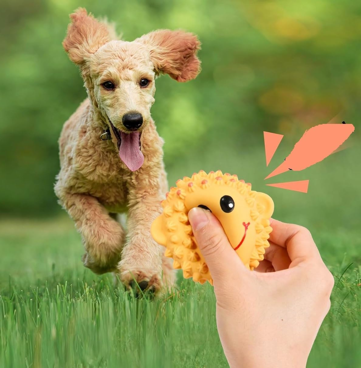 2 Pack Squeaky Dog Toys Interactive Latex Squeak Fetch Play Animal Balls Spiky Soft Rubber Puppy Teeth Clean Pet Toy for Small Medium Dogs (Style1, One Size)