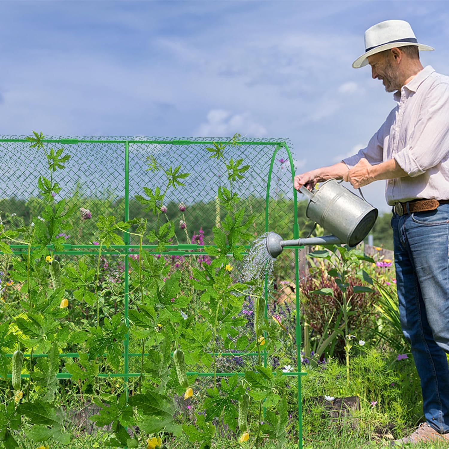 Codree 2 Packs Garden Cucumber Trellis for Plant- 47 X 47 Inch Metal Arch Melon Trellis for Raised Bed- Foldable Tunnel Trellis with Climbing Net Clips for Growing Vine Vegetable - 2Pcs-47X47Inch image number 6