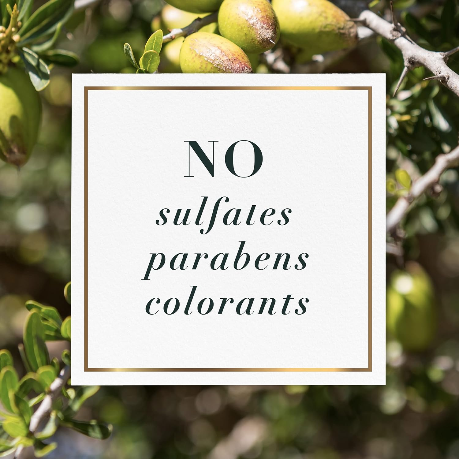 Herbal Essences Detangling Cream with Argan Oil & Aloe, 7.0 Fl Oz, Pack of 2 image number 6