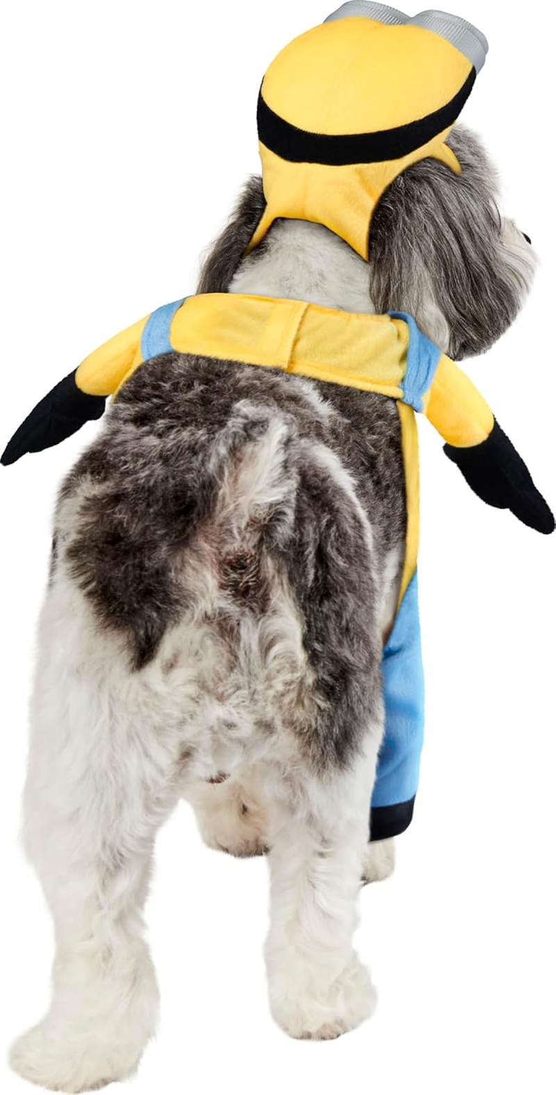 Rubies Costume Company Minion Bob Arms Pet Suit, Multicolor