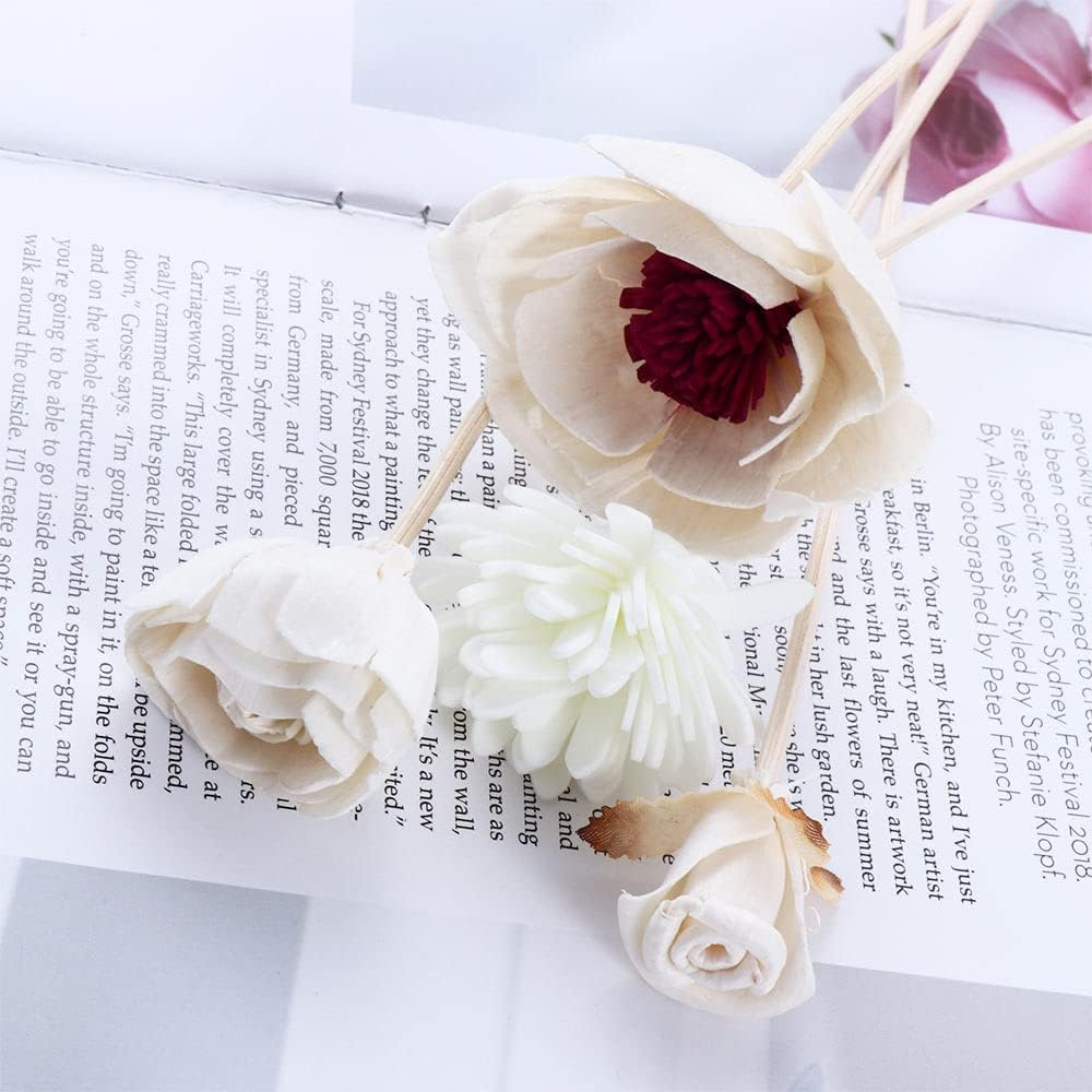 Leadigol 5Pc Rattan Wood Reed Diffuser Set, Natural Rattan Wood Sticks, Diffuser Sticks Refill Replacement, Fragrance Decorative Reed