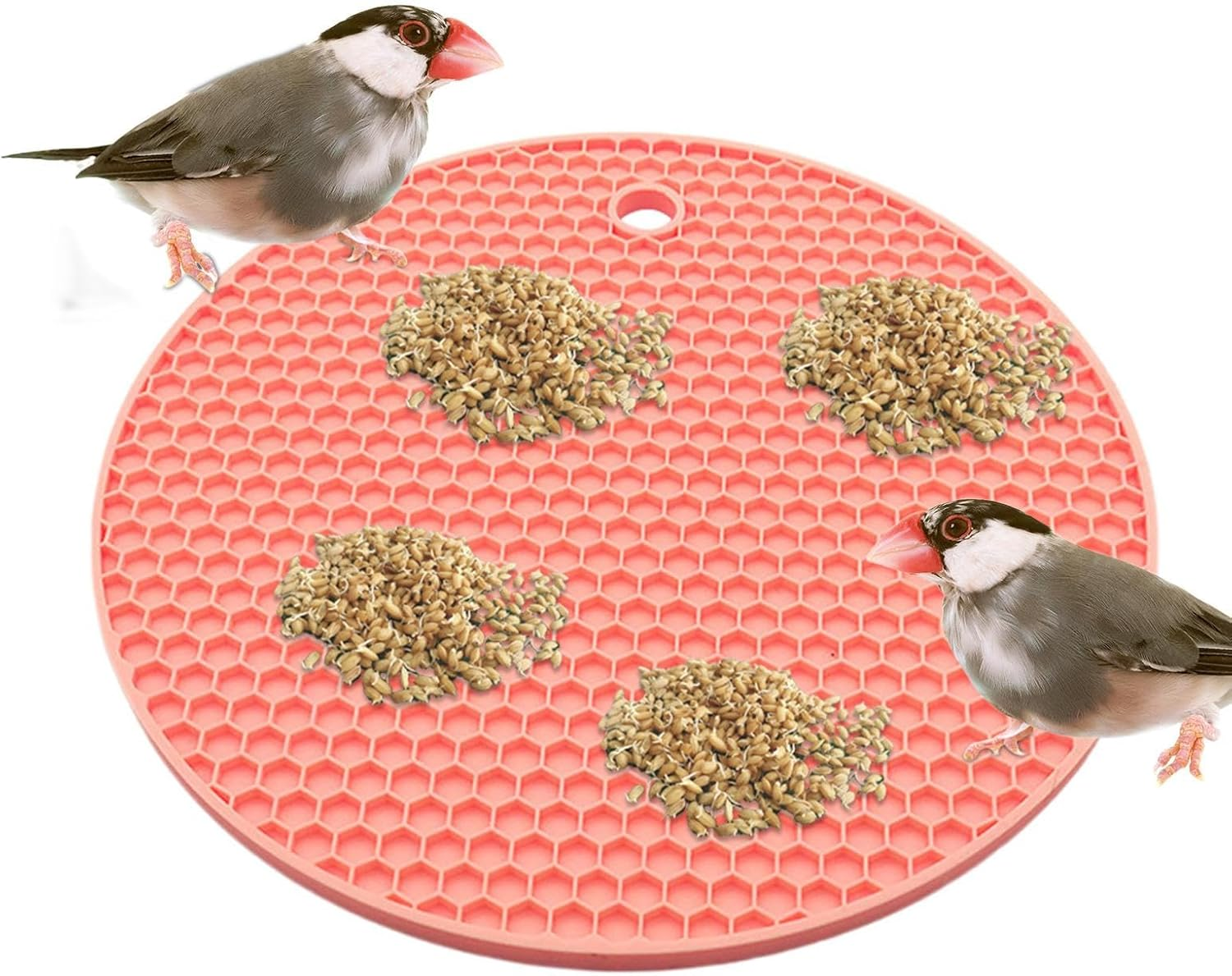 Shurzzesj Slow Feeding Puzzle for Bird,Parrots Slow Feeding Silicone Mat - Pet Parrot Food Slow Eating Mat for African Grey Parrots, Conures and Budgies image number 5