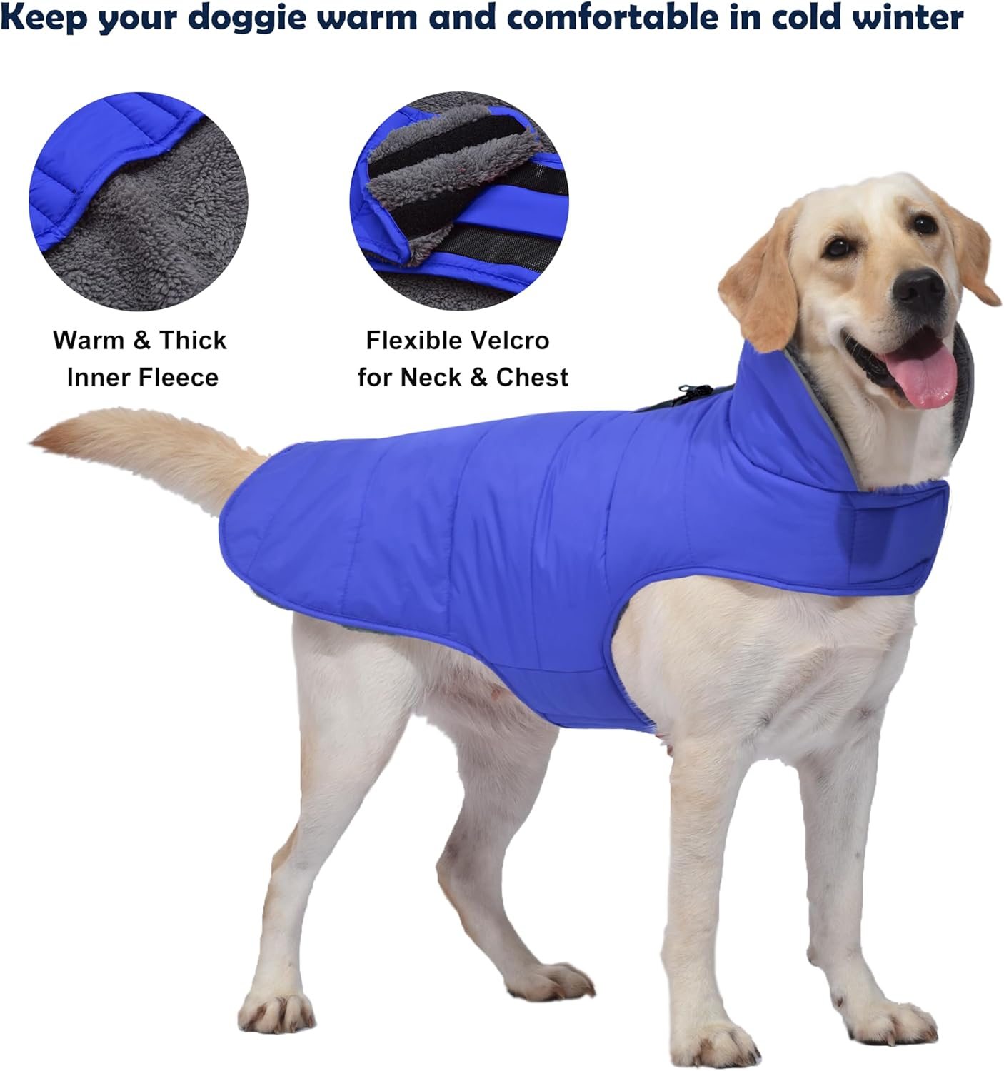 Petglad Dog Winter Coat, Waterproof Dog Jacket with Leash Hole, Reflective Warm Dog Snow Jacket Windproof Fleece Vest, Dog Clothes Outfits for Small Medium Large Dogs - Blue, M image number 2