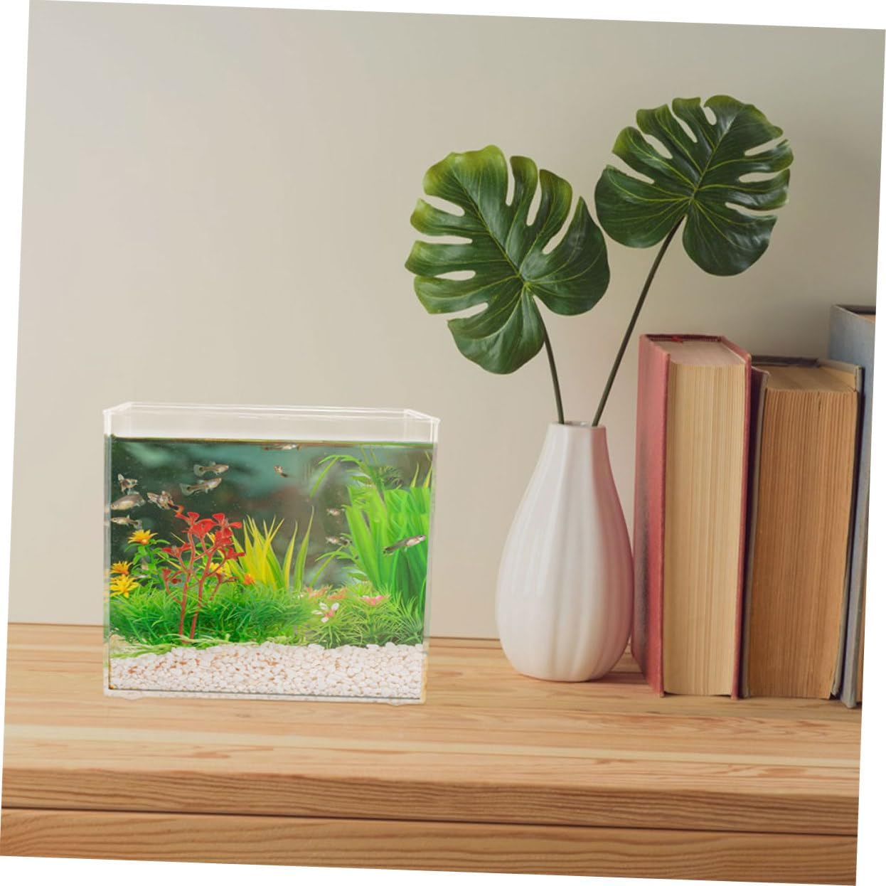 DECHOUS 2Pcs Mini Desktop Fish Aquarium Tank Clear Plastic Small Fish Tank with Open Top Design Portable for Home Office Space Saving Reusable Aquarium for Turtles and Aquatic Pets image number 4