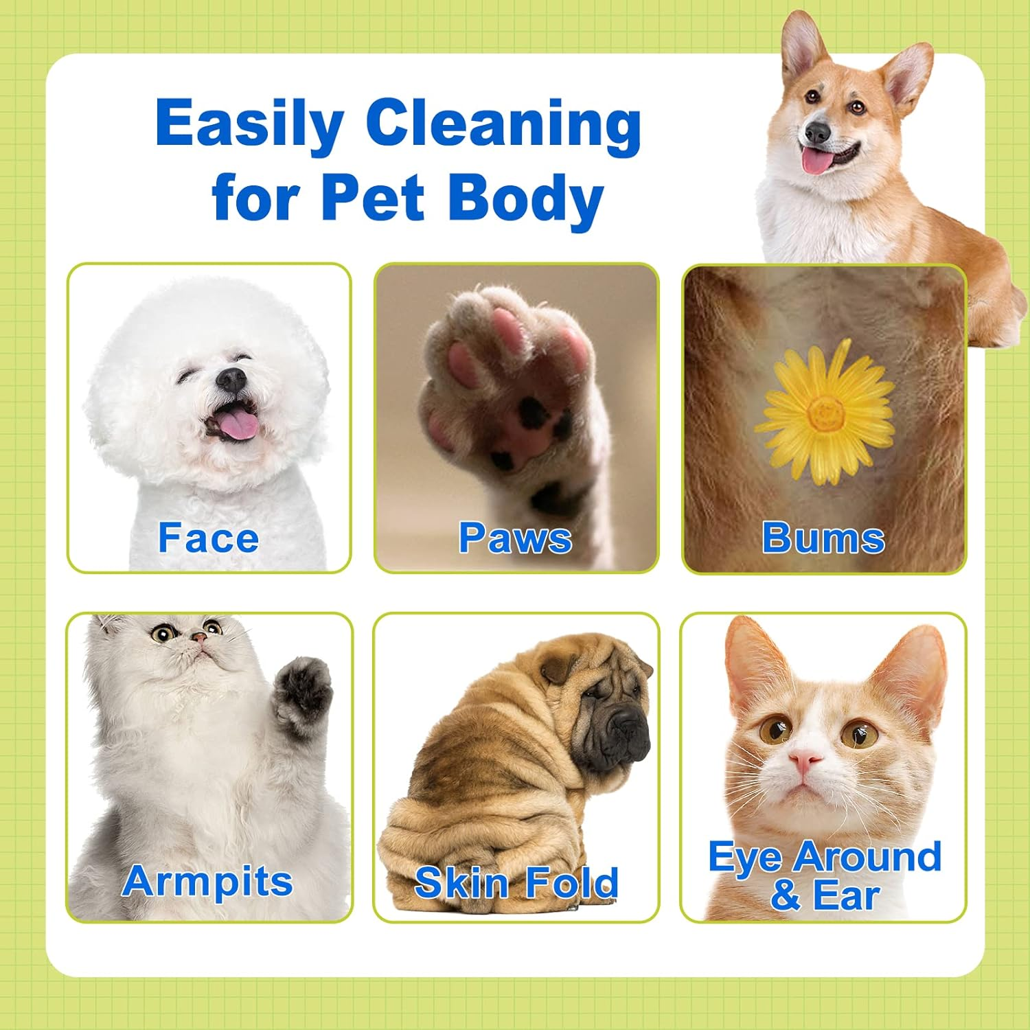 DR.EASY All Purpose Pet Grooming Wipes 100Ct Plant Based Ingredients for Paws,Body,Nose &Bum Cleaning,Remove Dirt,Dander & Excess Hair with Soft and Thick Wipes,No Fragrance image number 2