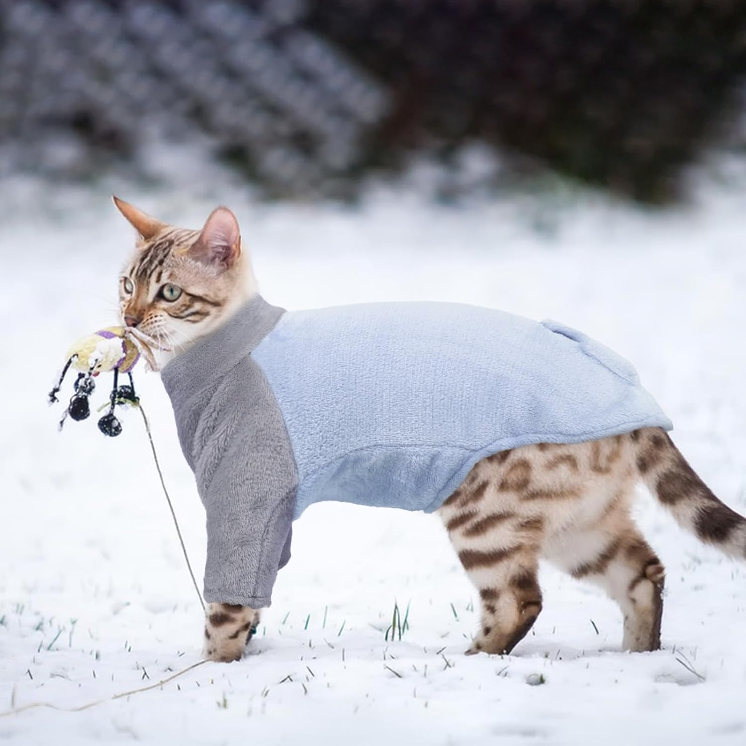 Sphynx Winter Coat for Cats, Hairless Cat Clothes, Fleece, Turtleneck Sweater (Blue, 2XL) image number 3