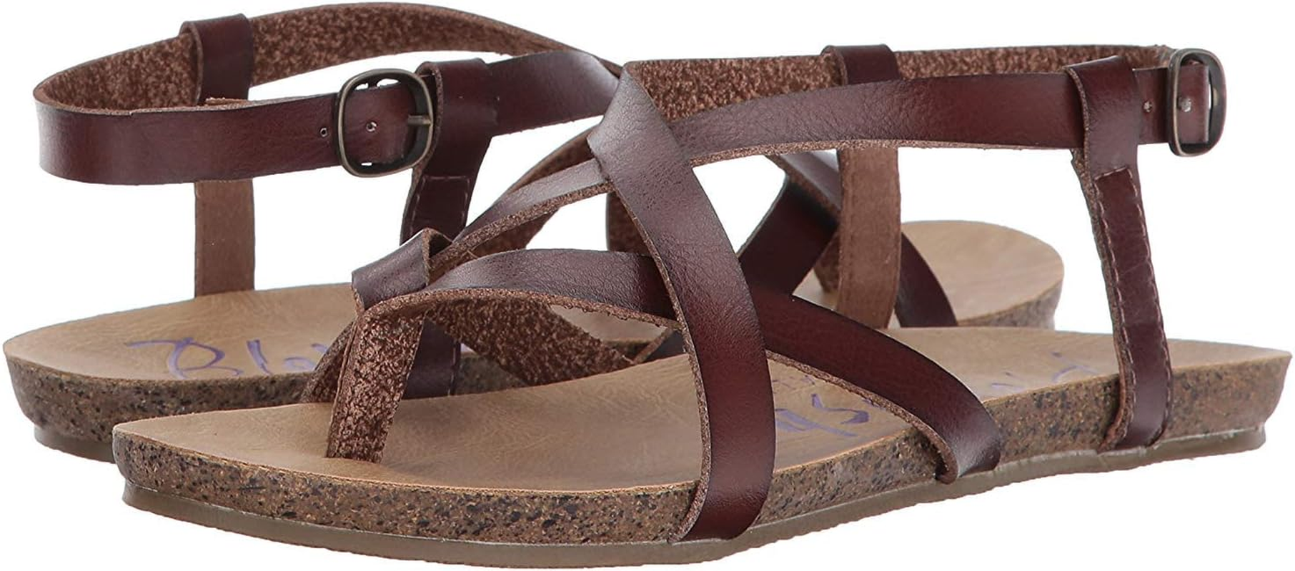 Blowfish Blowfish image number 2