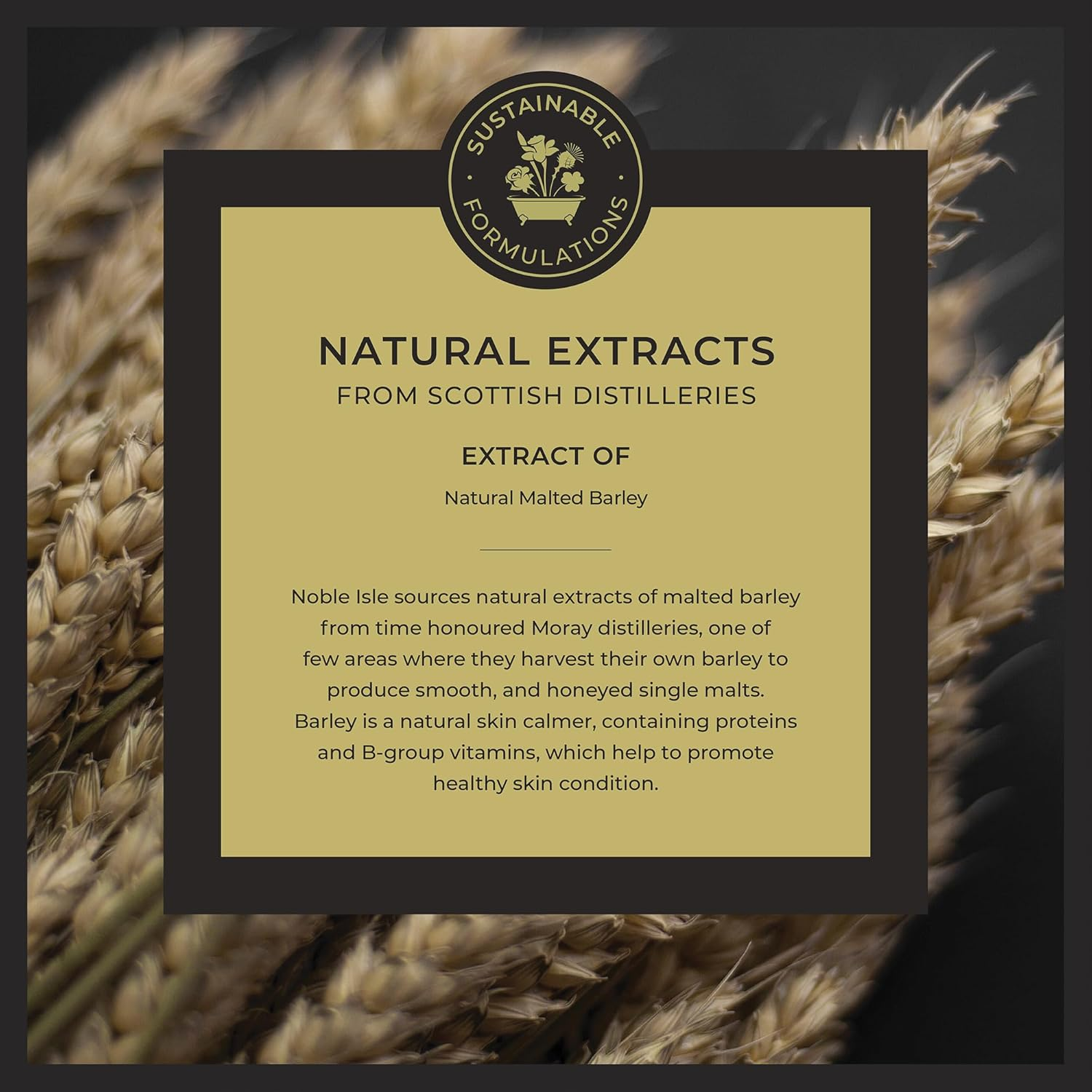 Noble Isle Whiskey & Water Bath & Shower Gel | Luxury Mens Body Wash with Fine British Fragrance Oils | Vegan Body Wash & Paraben Free Body Wash (8.45 Oz) image number 4