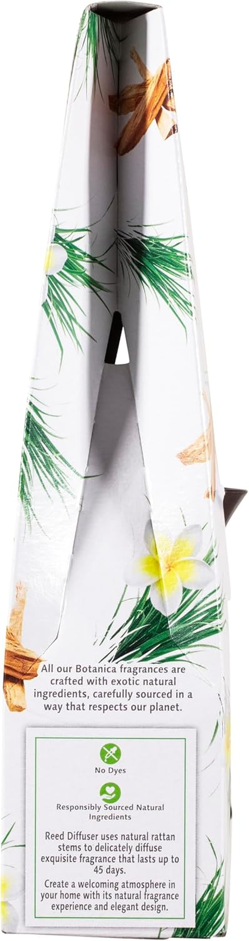 Air Wick Botanica Reed Diffuser, Caribbean Vetiver and Sandalwood, 80Ml (Pack of 5) image number 5