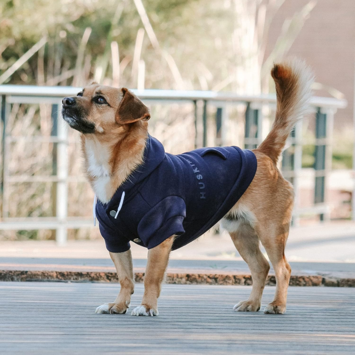 Huskimo Mt Baw Baw Dog Hoodie, Ink Blue, 46Cm