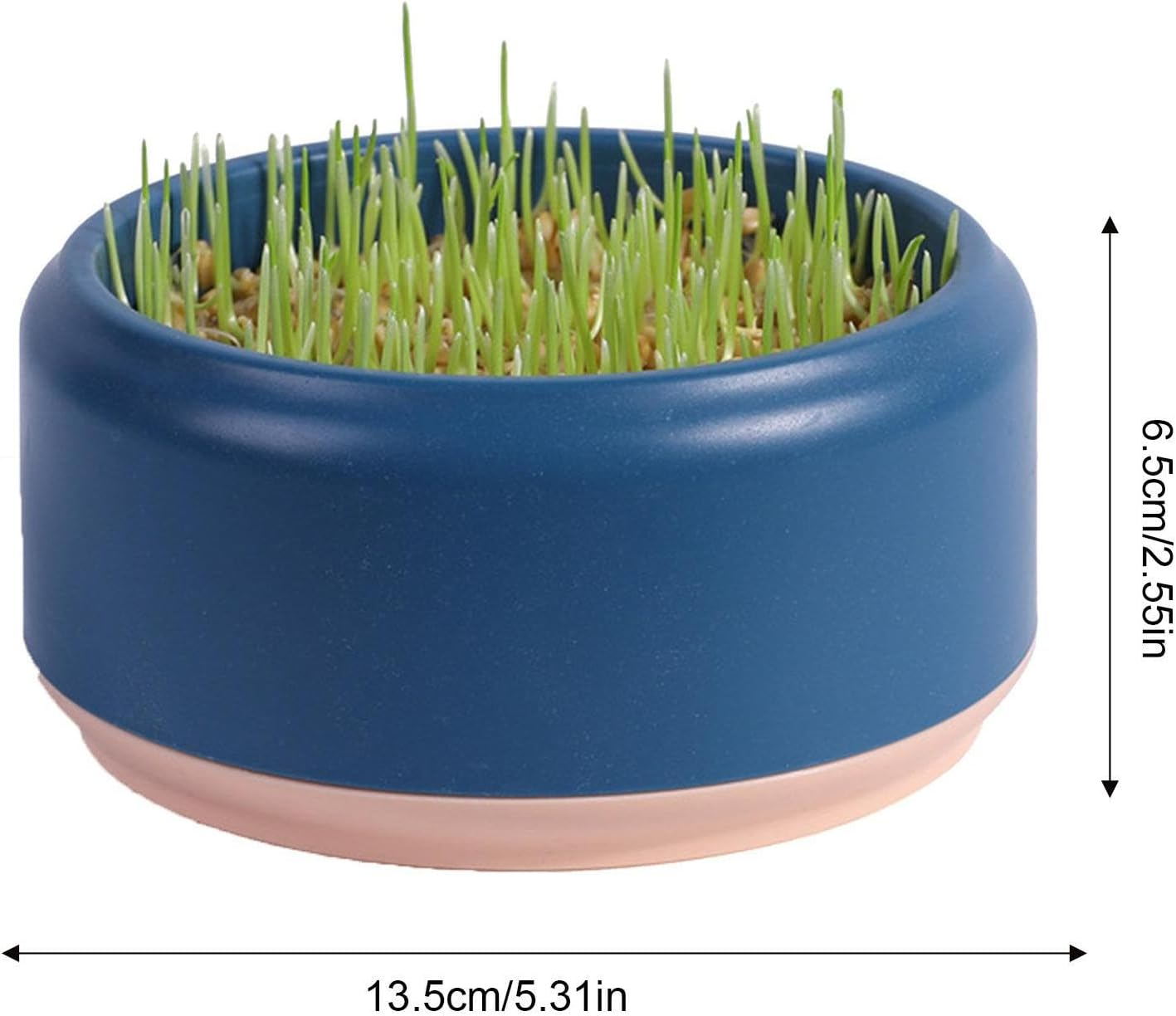 Cat Grass Growing Kit- Cat Grass Planter Tray-Organic Cat Grass Growing Kit for Indoor Cats Pet Hydroponic Cat Grass Growing Planter - Cat Grass for Indoor Cats Pet Accessories image number 6