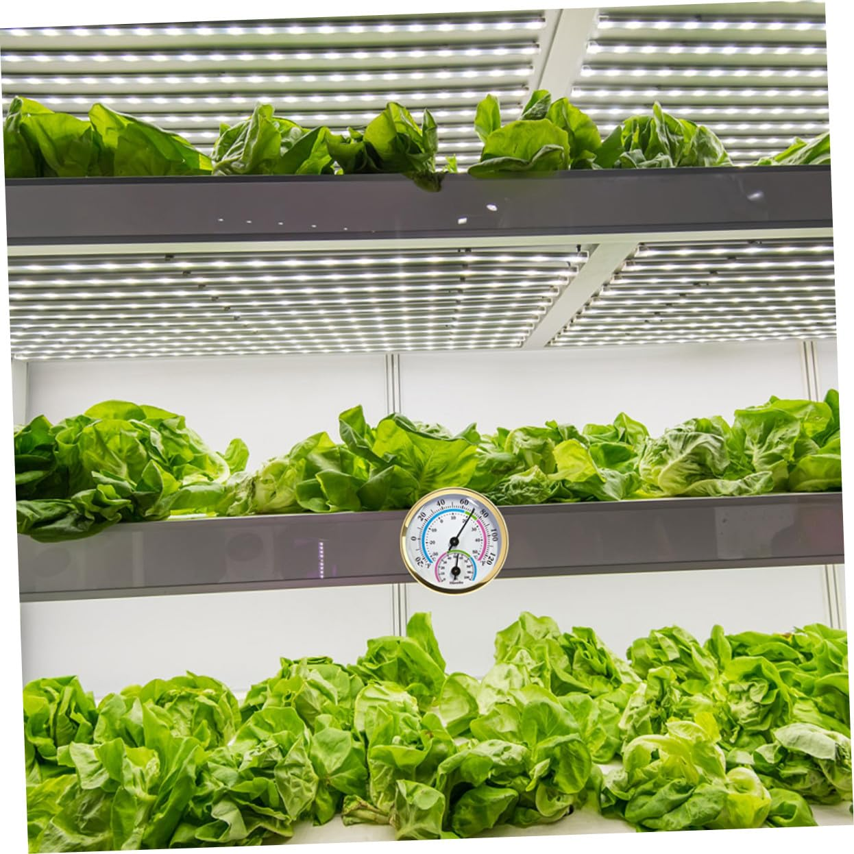 TEHAUX 2Pcs Indoor Outdoor Thermometer and Humidity Gauge for Garden Patio Mini Wall-Mount Temperature Hygrometer Measurement for Home Office Greenhouse Sauna and Workshop Use image number 1