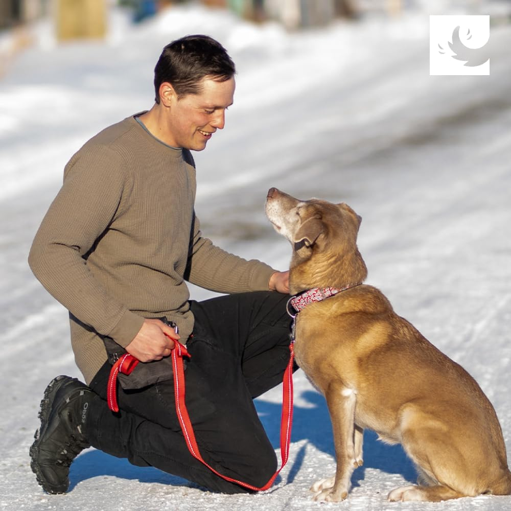 RC Pet Products 1-1/2-Inch All Webbing Martingale Dog Collar, Medium 12 to 20-Inch, Tan Tartan image number 5