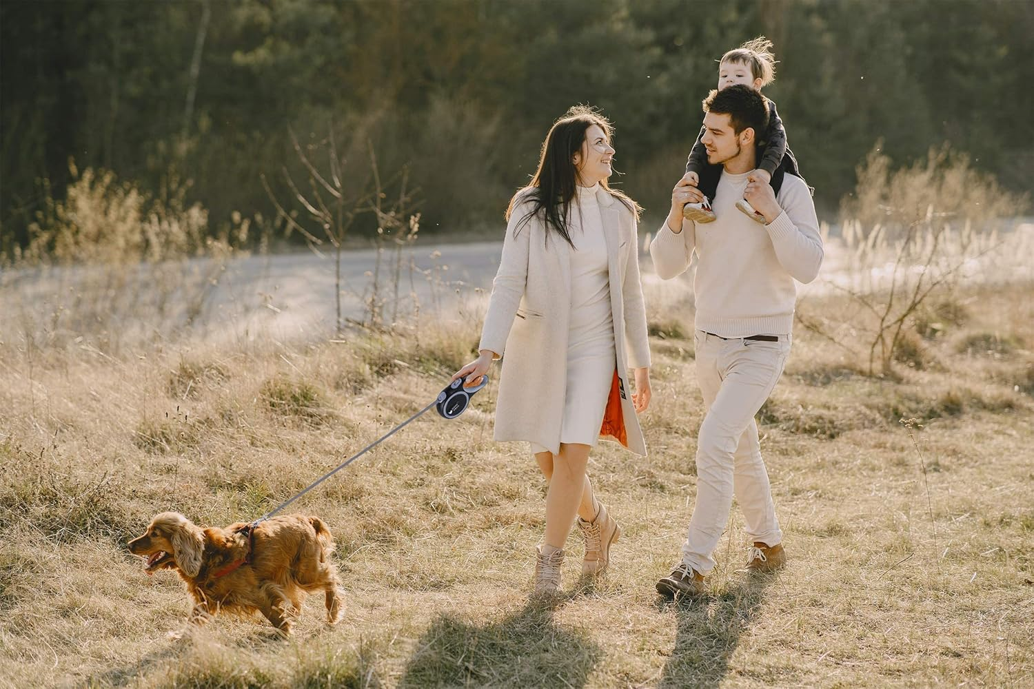 Retractable Dog Lead, IKEEP 5M/16FT Extendable Dog Lead with Strong Nylon Tape Tangle-Free One-Handed Brake, Pause, Lock for Small Medium Dogs (Blue) image number 1