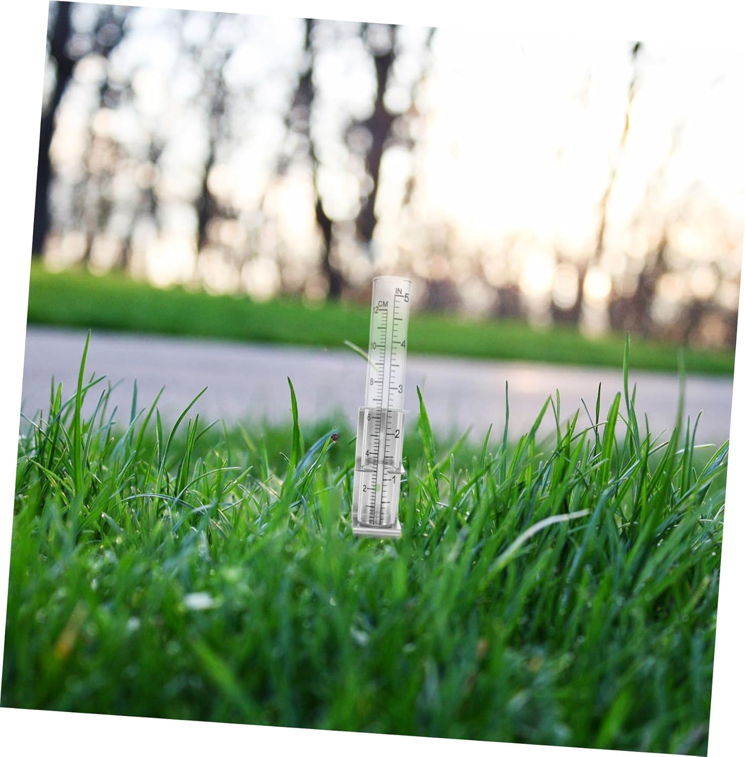 Bestonzon Accurate Outdoor Rain Gauge with Stainless Steel Mounting Bracket for Garden and Patio Precise Glass Rain Measuring Device with Easy Installation and Secure Support Digital Water image number 5