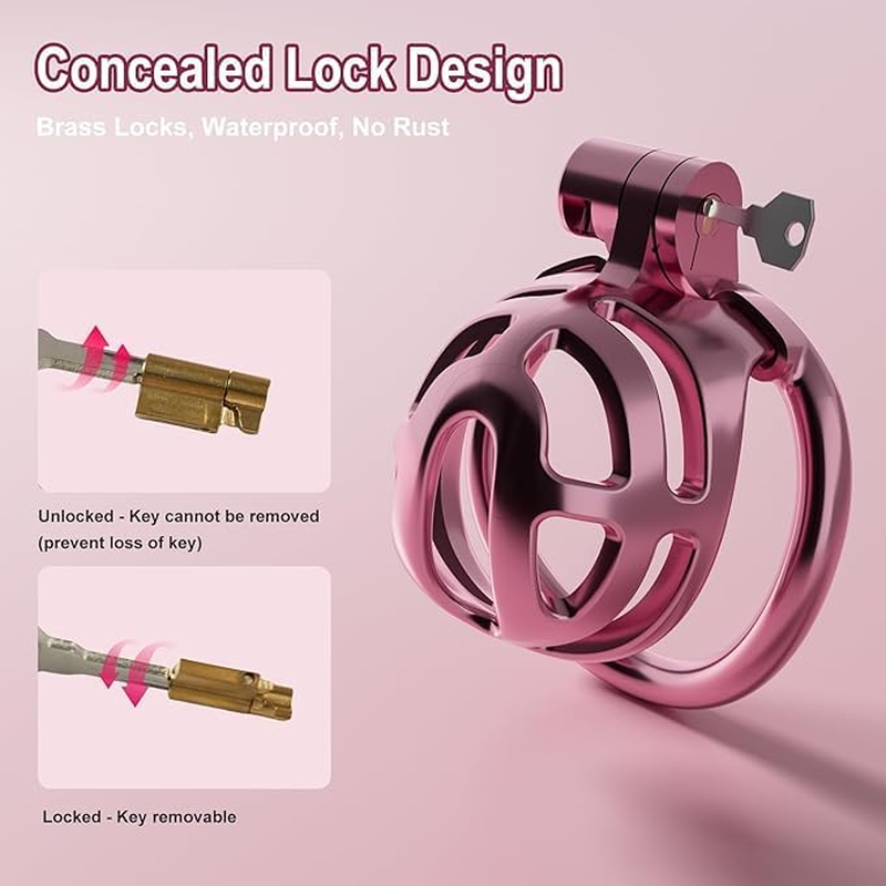 Male Chastity Cage, Lightweight Cock Cage with 4 Sizes Rings and Chastity Belts, Chastity Device with Invisible Lock and Key for Man Penis Erection Control & Bondage Play, BDSM Adult Sex Toys image number 5
