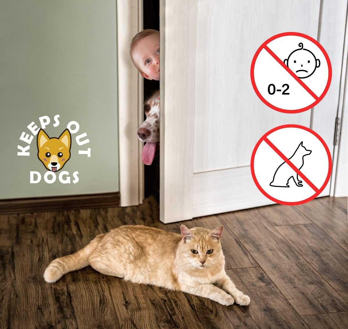 FACAICAI Cat Door Latch Holder, 8 Adjustable Sizes Stronger Flex Cat Door Stopper, Keep Door Open 1.5" to 8", Keeps Dogs Out of Litter & Food, No Tool Required & No Wall Damage (White) image number 1