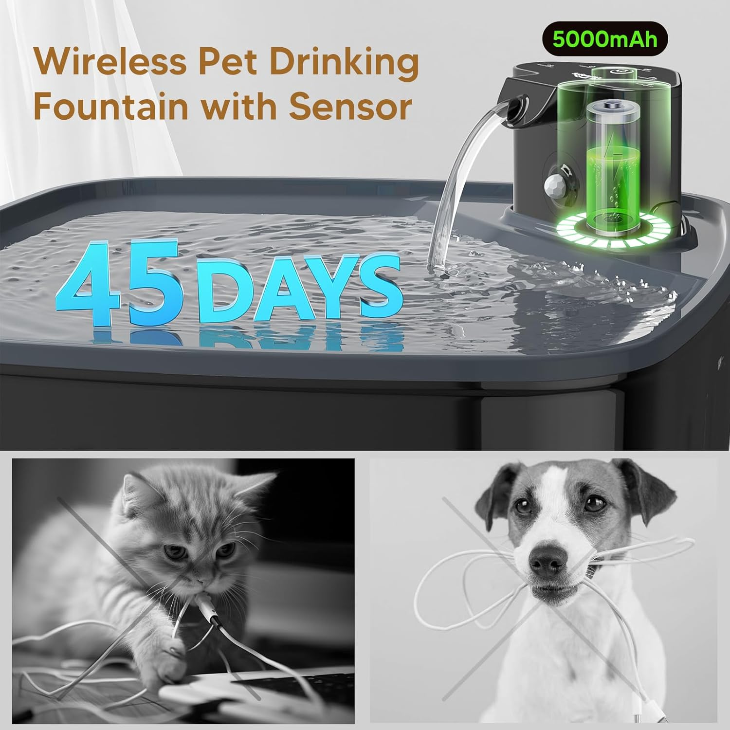 Kittyspout Wireless Water Fountain for Dogs 8L, Cat and Large Dog Fountain &ndash; with Motion Sensor, Rechargeable Battery 4000 Mah &ndash; Ultra-Quiet Pump and Activated Carbon Filter